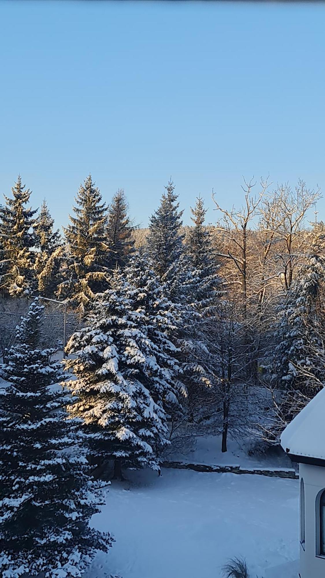 Sieraton Pokoje I Apartament Stronie Śląskie Exterior foto
