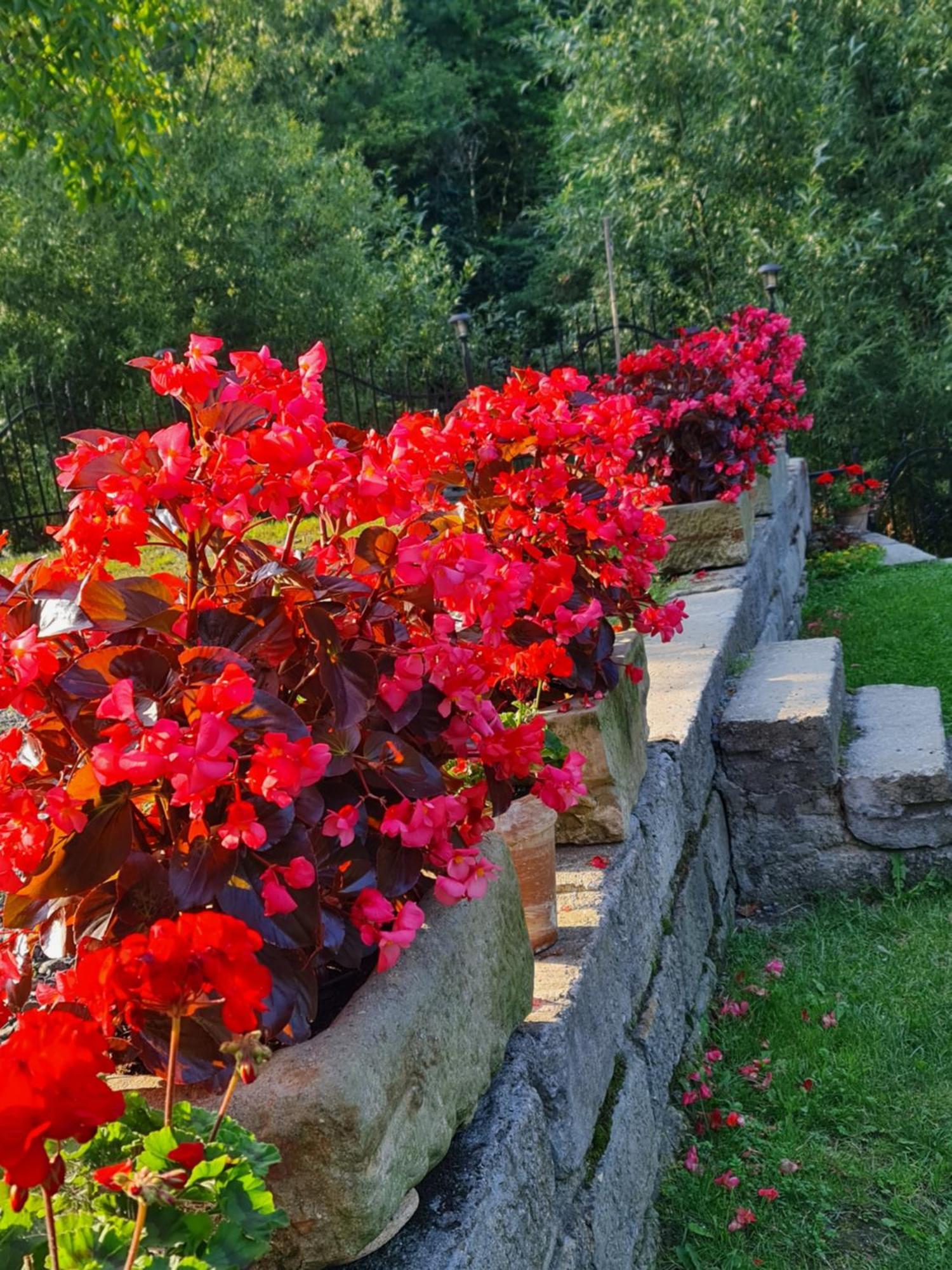 Sieraton Pokoje I Apartament Stronie Śląskie Exterior foto